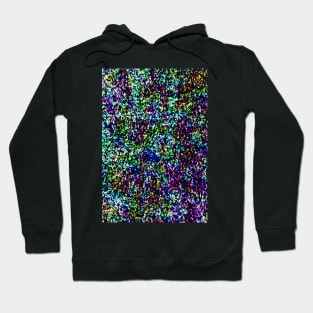 Vividly coloured stained glass windows fractal Hoodie